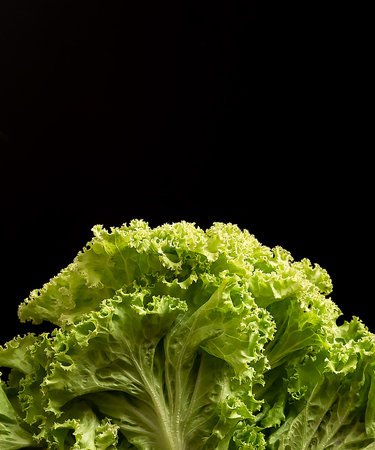 Fresh green vegetables black backgroundの写真素材