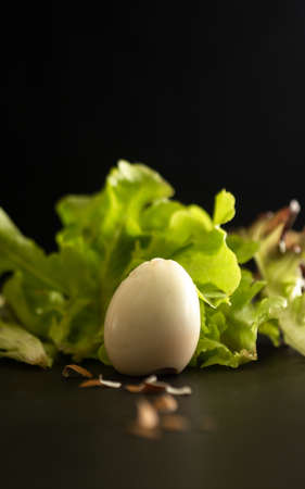 White boiled eggs and vegetables black backgroundの写真素材
