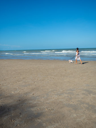 woman running on the beach with a dogの写真素材
