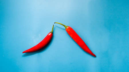 two red chilies on blue backgroundの写真素材