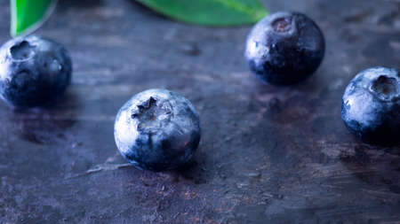 blueberry  close up on black backgroundの写真素材