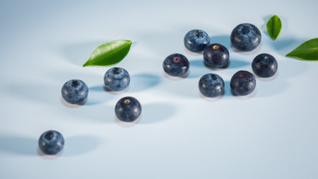 blueberry  on white backgroundの写真素材