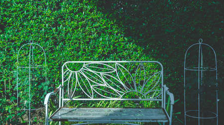 Bench and garden in the houseの写真素材