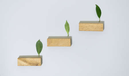 wooden block on wood background planning in business model