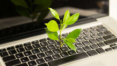 Hand holding a plant pot on a desk with a computer.business nature concept.の写真素材