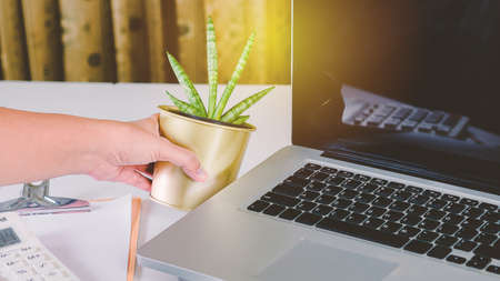Hand holding a plant pot on a desk with a computer.business nature concept.の写真素材