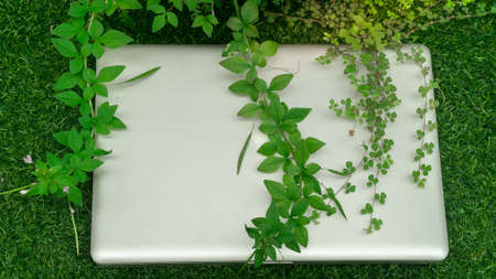 Leaves nature and computer keyboard with glasses.Technology with nature green conceptの写真素材