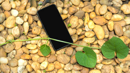 smarthphone on the rock with leaves topviewの写真素材