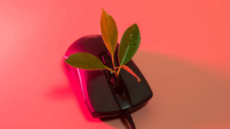 Leaves nature and mouse.Small green plant growing from black mouse.Technology with nature conceptの写真素材