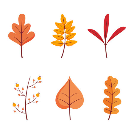 Set of autumn leaves. Fall leaves on isolated backgroundのイラスト素材