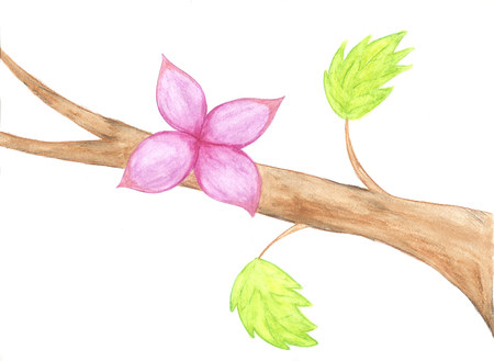 Watercolor flower, branch with red flower and leavesの写真素材