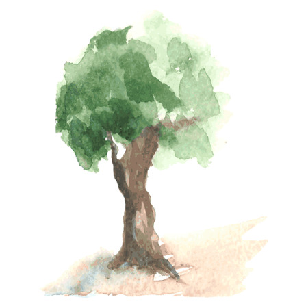 Old watercolor tree with green foliage which flutters on a wind on clumsy brown trunk, rural tree like apple-tree, sketch drawn by watercolourのイラスト素材