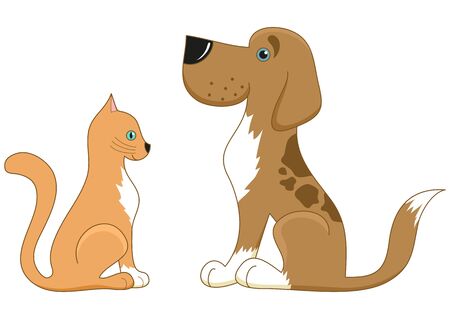 Cat and dog look at each other, the best friendsの写真素材