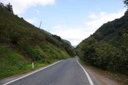 Hazelnut Mountain and green way together at blacksea region on north Turkey, Giresunのeditorial素材
