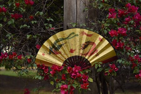 Fan with a dragon decoration on a tree of pink flowers, translation The dragon and the prosperity phoenixの写真素材