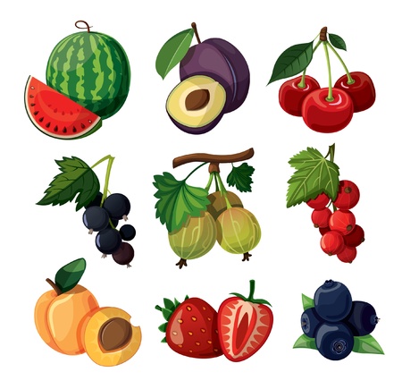 A set of delicious berries  Isolated on white background  のイラスト素材