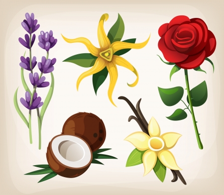A collection of colorful vector flowers  Isolated のイラスト素材