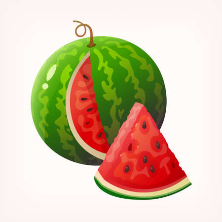 Sliced watermelon image. Isolated vector illustration of colourful fruit on transparent background.のイラスト素材