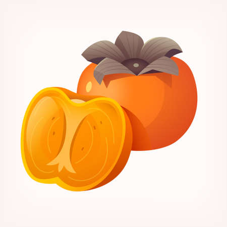 Sliced persimmon fruit. Isolated vector illustration of colourful fruit on transparent background.のイラスト素材