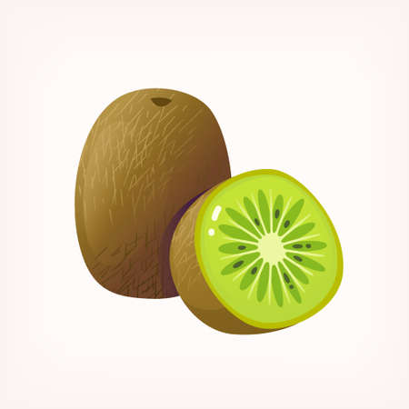Image of fresh ripe kiwi fruit sliced in half. Isolated vector imageのイラスト素材