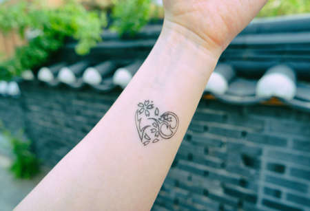 Hennaの写真素材
