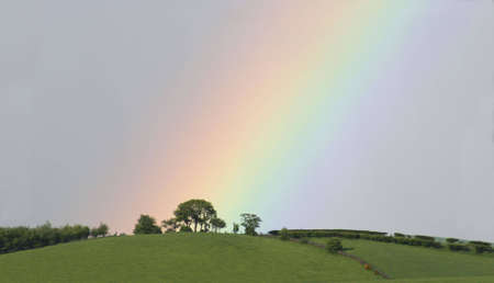 A rainbow descends to a sunlit, tree-lined hilltopの写真素材
