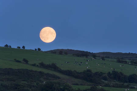 A summer Moon rising over the fields of Bute, Scotlandの写真素材