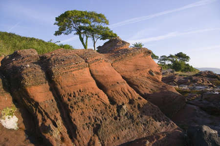 Beds of old red sandstone exposed on the eastern shore of Bute, Scotlandの写真素材