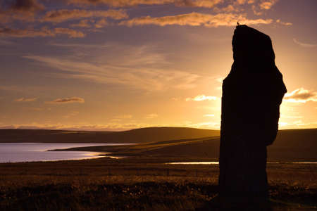 Bird perched on a stone of the Ring of Brodgar in Orkney at sunsetの写真素材
