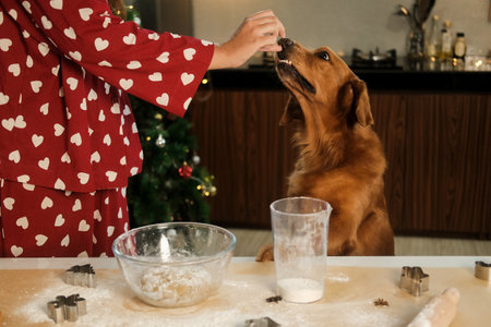 A Golden Retriever dog helps his female owner in her pajamas to prepare gingerbread for Christmas dinner. They are standing in the kitchen against the backdrop of a Christmas tree with a garland.の写真素材