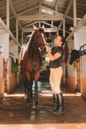 Young woman rider in equestrian uniform in stable saddling her horse. Horse riding training. She throws saddle on brown horse's back and fastens it. Authentic village barn.の写真素材