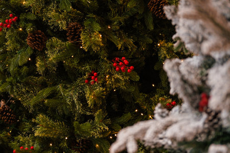 Close-up of branches of various Christmas trees that are for sale in a shopping mall. The trees have cones and red berries and are decorated with lights. Christmas tree sale. Holiday shopping.の写真素材