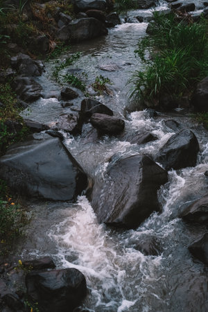 A fast flowing stream of water moves through dark wet rocks in a tropical rainforest. Green vegetation grows along the riverbanks. The scene represents nature, fresh water, and seasonal rainfall.の写真素材