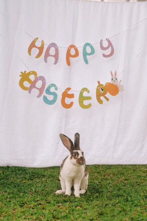 In the foreground on the lawn sits a white and brown rabbit, in the background the inscription Happy...