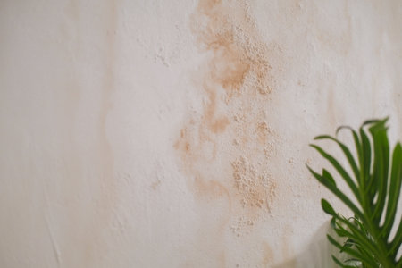 View of the wall which suffered from rainy season and water leakage. There is mold and mildew on the white wall yellow stains and streaks. Need repairs. Inflated bubbles from moisture on the surface.の写真素材