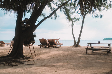 Back view of a couple on their honeymoon lying on sun loungers under umbrellas on the beach by the ocean and sunbathing. A couple on a tropical island vacation together.の写真素材