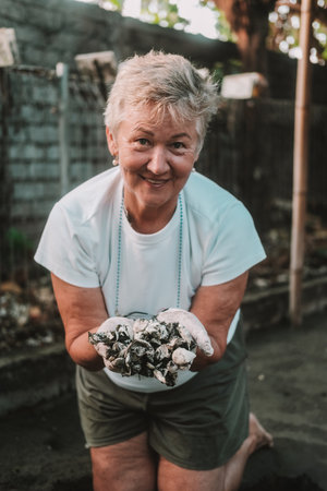 A senior woman with gray hair, volunteer biologist, digs a nest of eggs at a sea turtle rescue center to ensure all the hatchlings have emerged from sand. Sea turtle rescue, environmental protection.の写真素材