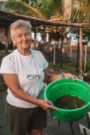 A portrait of a senior woman scientist volunteer with gray hair collecting hatchlings from their nests at a sea turtle conservation center. She transfers them to a bowl to release them into the ocean.の写真素材
