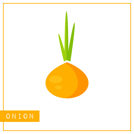 Bright memory training card with colorful vegetable. Flat design isolated orange color onion or bulb with shine and shade. Vector illustration for vegan infographic, kid game or school vitamin posterのイラスト素材