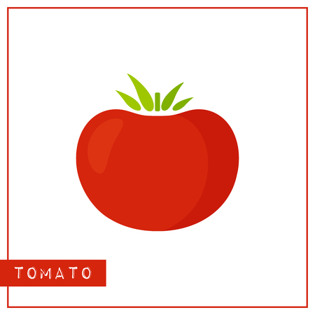 Bright memory training card with color vegetable. Flat design isolated red color tomato with shine and shade. Vector illustrationのイラスト素材