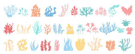 Coral and Sea Plants Vector Illustrationのイラスト素材
