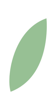 Flat Green Leaves Illustration Iconのイラスト素材