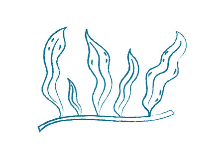 Underwater Seaweed Doodle Crayon Styleのイラスト素材