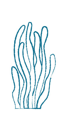 Underwater Seaweed Doodle Chalk Styleのイラスト素材