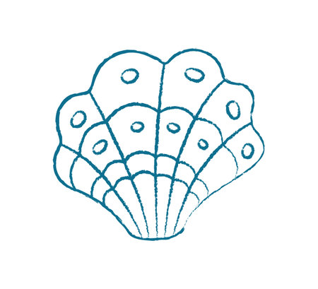 Chalk Seashell Doodleのイラスト素材