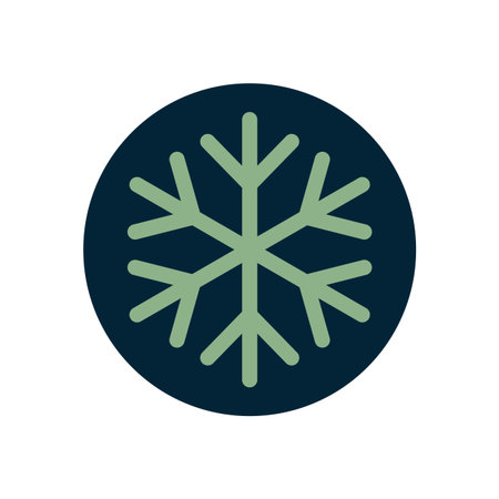 Round Snow Flake Icon Christmas Label