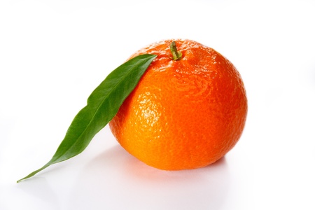 Tangerine on a white background with leavesの写真素材