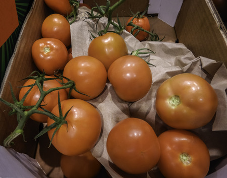 Seamless natural tomatoes in cardboard box - Tomatoes set-out in cartons for buyers in store - Shopping tomatoes in self service storeの写真素材