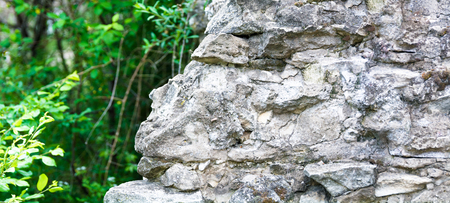 Seamless stonewall background close up with plants in blurred backdropの写真素材