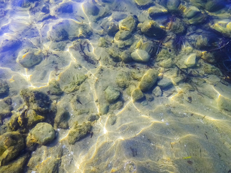 Underwater shot of sea floor bottom - Image of ocean floor - Photo taken underwater